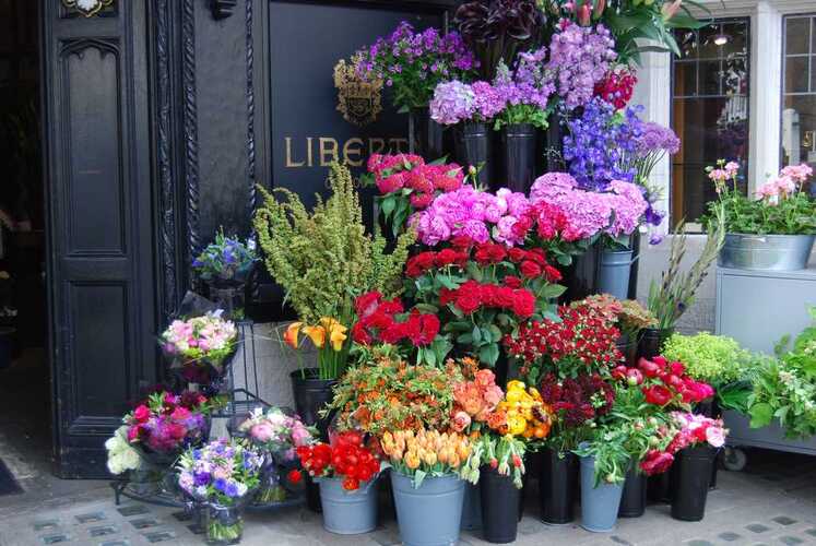 ธุรกิจร้านดอกไม้ “Flower Do” ต่อยอดธุรกิจครบวงจรเปิดโอกาสสร้างอาชีพขยายตลาด